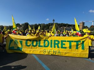 Coldiretti Siena, oltre 500 agricoltori in Regione per chiedere un piano di contenimento cinghiali