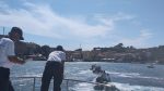 Balenottera bloccata in porto a Talamone, Marsili: "penso sia destinata a morire"