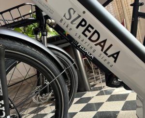 In bici a Siena, Angiolini: "Una striscia di asfalto a lato della carreggiata non è una pista ciclabile"