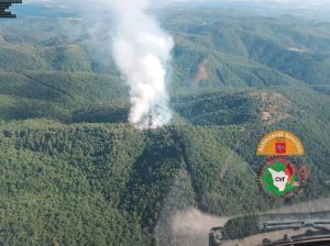 Gaiole in Chianti, incendio boschivo in località Nusenna