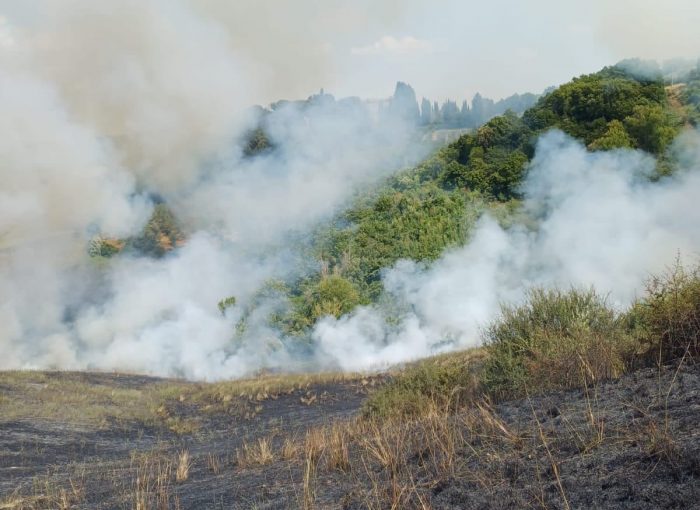 Castelnuovo Berardenga, incendio minaccia il bosco a Torre a Castello