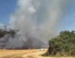 Incendio al confine fra Chiusi e Cetona, bruciano campi e bosco