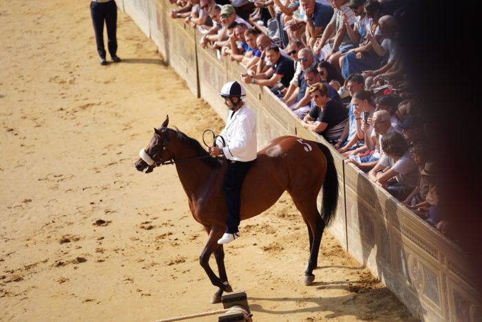 Palio di Siena 16 agosto, Anda e Bola non sarà dei 10