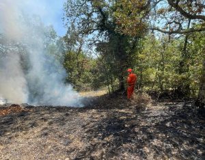 Castellina in Chianti, un altro incendio: volontari Racchetta domano le fiamme. Ipotesi azione dolosa