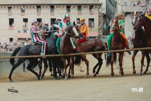 Palio di Siena: protocollo equino 2025, le proposte della commissione veterinaria