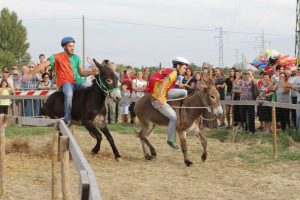 Il 41° Palio dei Somari a Montepulciano Stazione: quattro giorni di festa, tradizione e divertimento