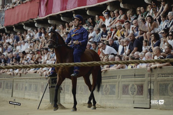 Palio di Siena, Guglielmi: "Relazione del mossiere molto severa con me e con il Nicchio"