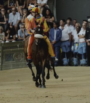 Palio di Siena, Gingillo: "Ai capitani chiedo la possibilità di montare cavalli più competitivi. Mi è stata tolta dal 2018"