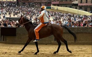 Palio di Siena 16 agosto, il Leocorno vince la provaccia