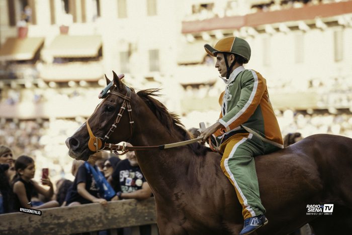 Palio di Siena 16 agosto: la Selva ha deciso, Andrea Sanna sarà Virgola