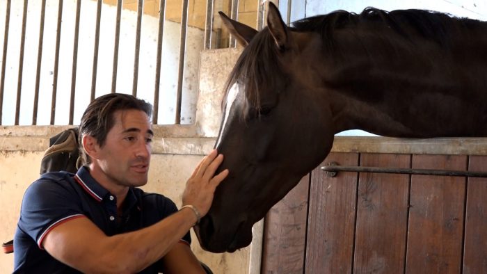 Palio di Siena 16 agosto, Scompiglio: "Rivedere cosa non funziona nel canape per la tutela di tutti"