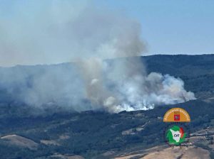 Incendio boschivo ad Abbadia San Salvatore, fiamme sospinte dal vento