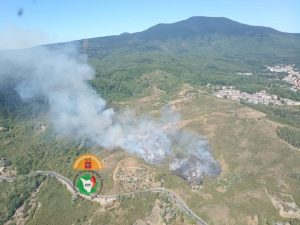 Incendio boschivo alle pendici del monte Amiata