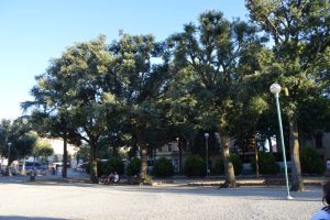 Siena, domani ultima serata con Le Scoperte