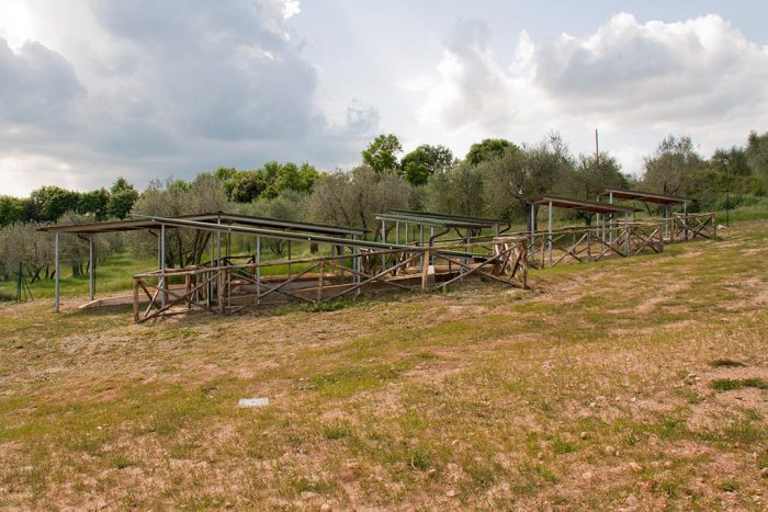 Colle Val d'Elsa, osservazione del cielo al Parco Archeologico di Dometaia