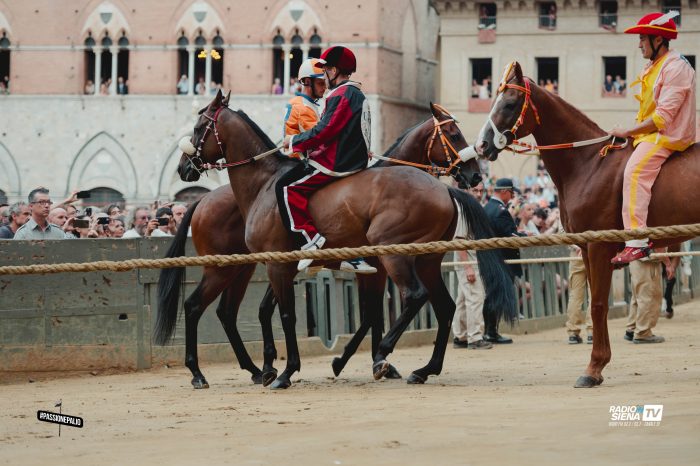 Palio di Siena, Bellocchio: "Rivale rimasta al canapo, obiettivo raggiunto"