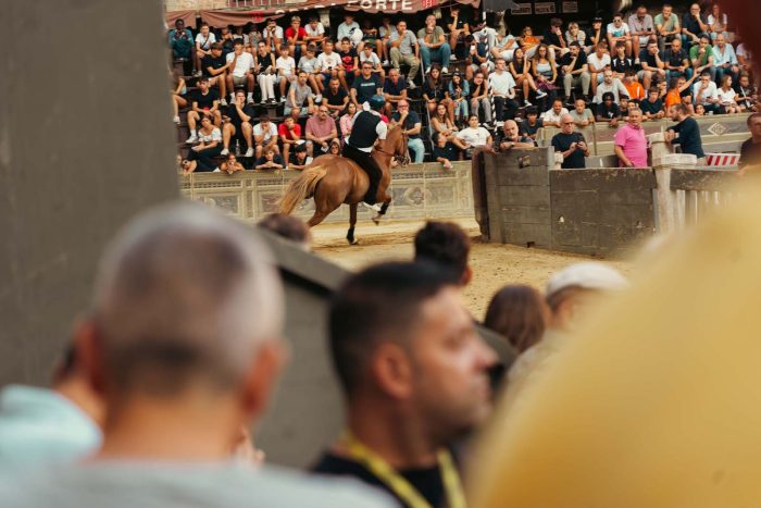 Palio di Siena, prove regolamentate 11 agosto - La gallery