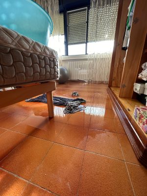 Temporali, bombe d'acqua, e la casa si allaga. La disperazione di una famiglia senese