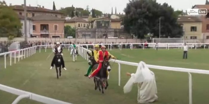 Palio dei Ciuchi di Asciano col "giallo": annullata la vittoria della Pergola