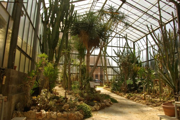 Jungle Siena, alla scoperta dell’anima verde della città