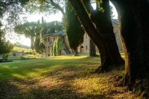 Da azienda faunistico venatoria ad agrituristico venatoria, Suvignano perde la sua riserva