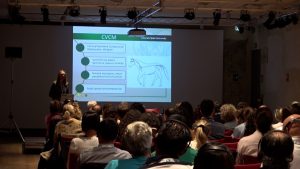 Congresso nazionale veterinari equini, successo per il secondo anno al Santa Maria della Scala