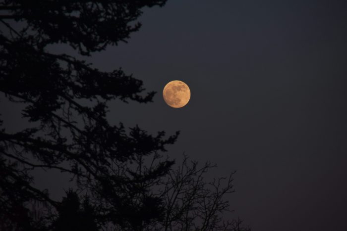 La notte della Luna: il 14 settembre a Siena e Montarrenti