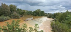 Maltempo, caduti 60 millimetri di pioggia in alcune aree del senese