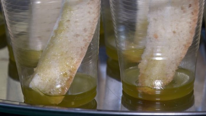 Olio toscano, la previsione di una buona annata 2024 per l'extravergine di Siena dopo l'annus horribilis