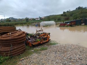 Maltempo a Siena, Coldiretti: "Preoccupati per semina autunnale e vendemmia"