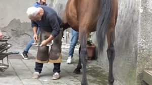 Mascalcia, arte antica e preziosa: a Piancastagnaio il Convegno Annuale dei Maniscalchi