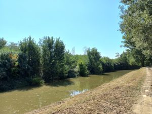 Consorzio di Bonifica 6 Toscana Sud, lavori di messa in sicurezza a Ponte d'Arbia