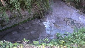 Siena, strada delle Coste una fogna "a cielo aperto": situazione critica a due passi dalle case