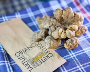 Inaugurata la Mostra Mercato del Tartufo Bianco delle Crete Senesi