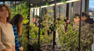 Agricoltura verticale tra i banchi di scuola, ai Licei Poliziani inaugurata la Vertical Farm