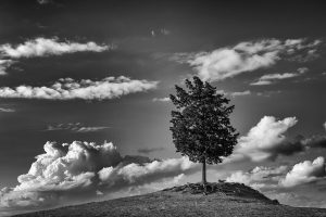 Montepulciano, mostra fotografica ispirata alla Marcia dei Bambini raccontata da Iris Origo nel suo “La Guerra in Val d’Orcia”