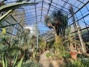 Siena, letture poetiche all’imbrunire all’Orto Botanico, tra poesia e natura.