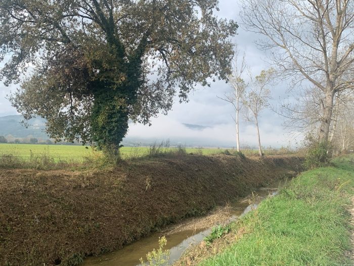 Sovicille, la sicurezza di chi vive nell'area del Padule al centro di un incontro con Cb6