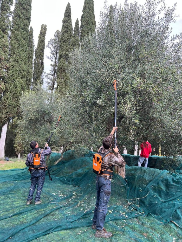 L’Istituto Agrario di Montalcino guarda al futuro con il percorso sperimentale 4+2