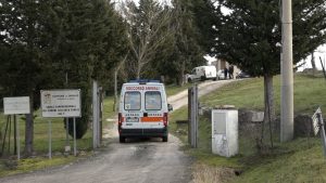 Blitz in un allevamento di cani nel senese, alcuni soggetti trasferiti al canile di Murlo. Indagini in corso