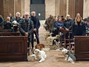 Sant'Antonio Abate, gli animali "invadono" la Cripta di San Domenico